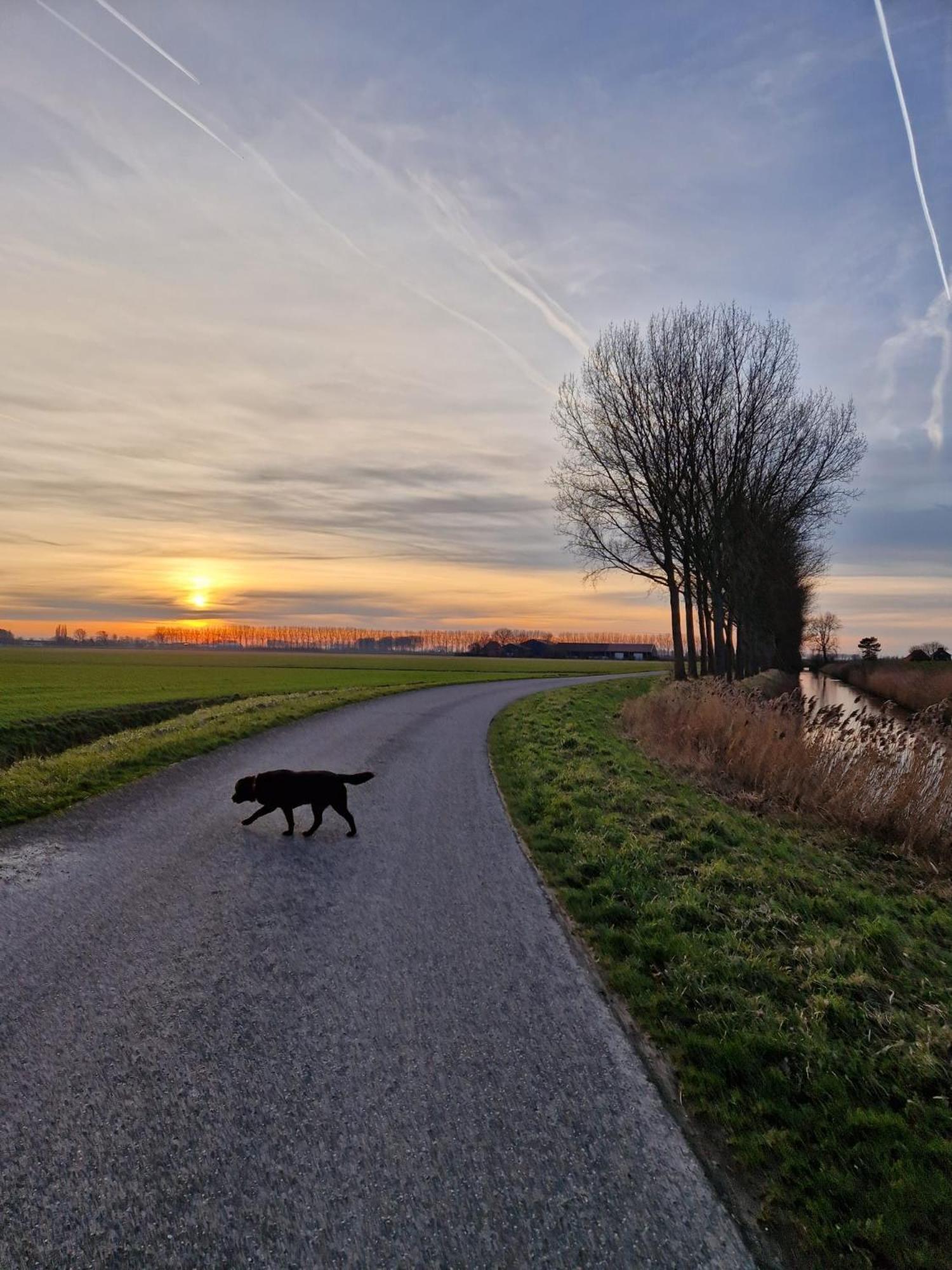 De Bedstee Villa Schoondijke Exteriör bild